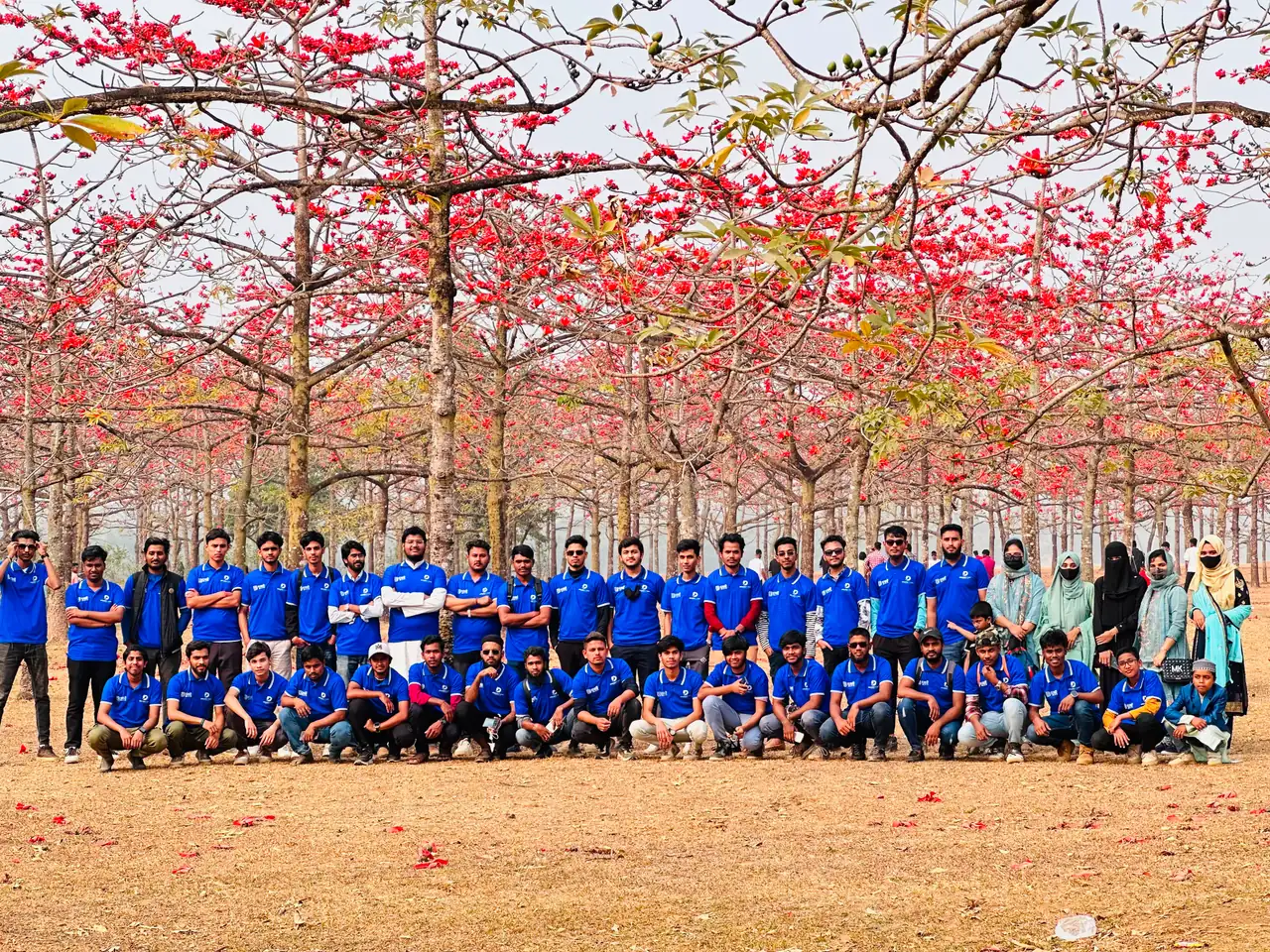 Team day: the Dreams IT Park family under red shimul blossom trees
